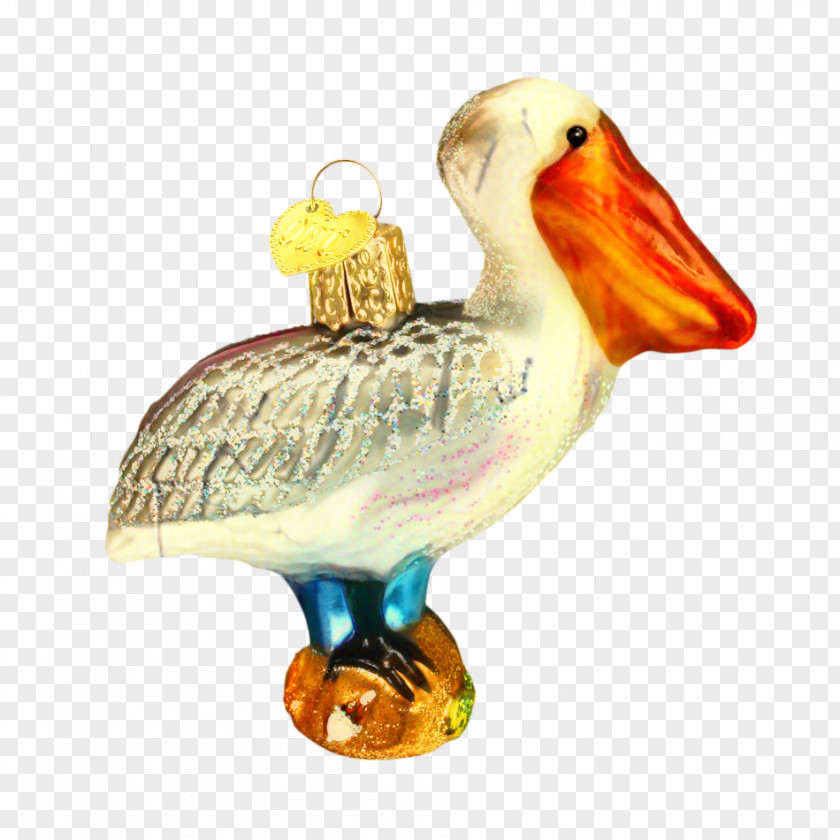 Pelecaniformes Ducks Geese And Swans World Animal Day PNG