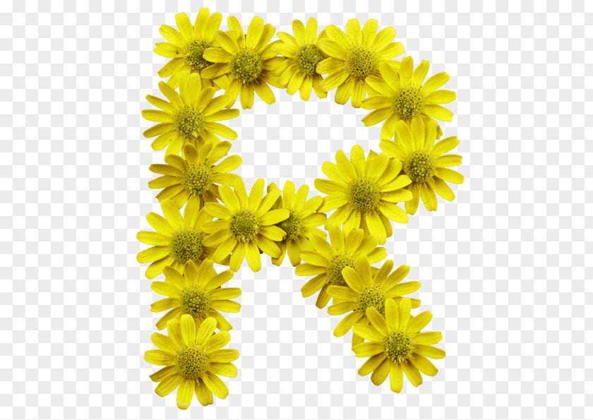 Yellow Flowers Flower Letter Typeface Typography Font PNG