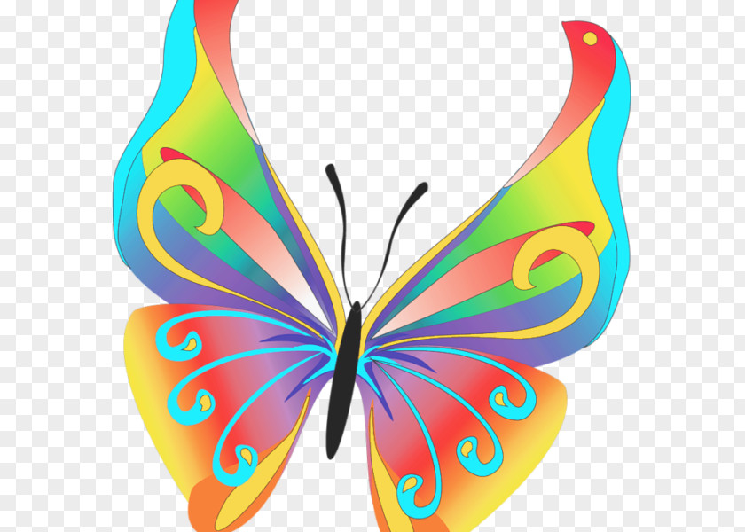Butterfly Clip Art Image Beautiful Butterflies PNG