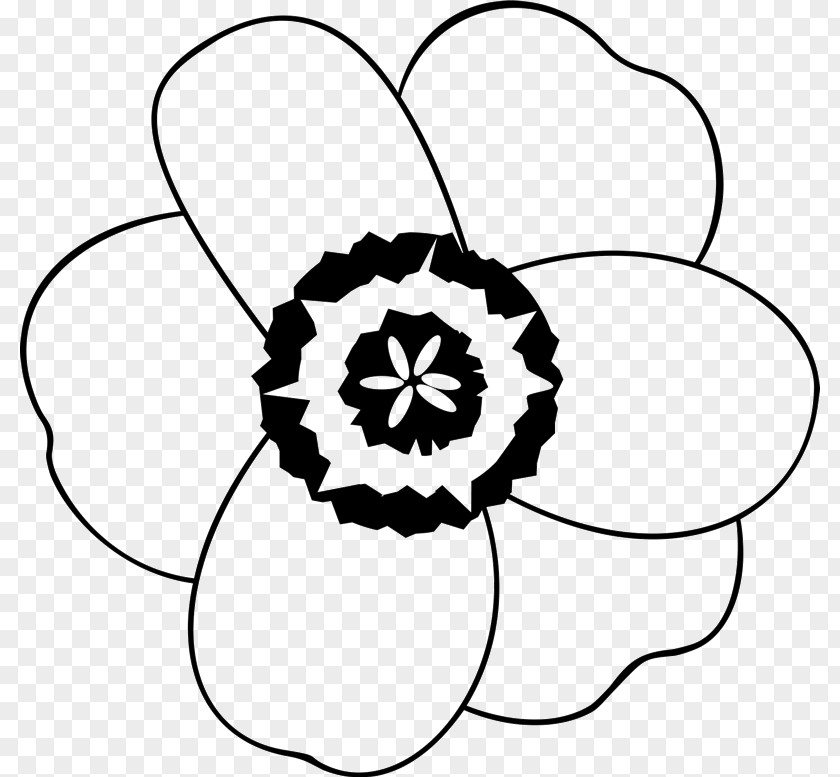 Coloring Book Blackandwhite Flower Line Art PNG