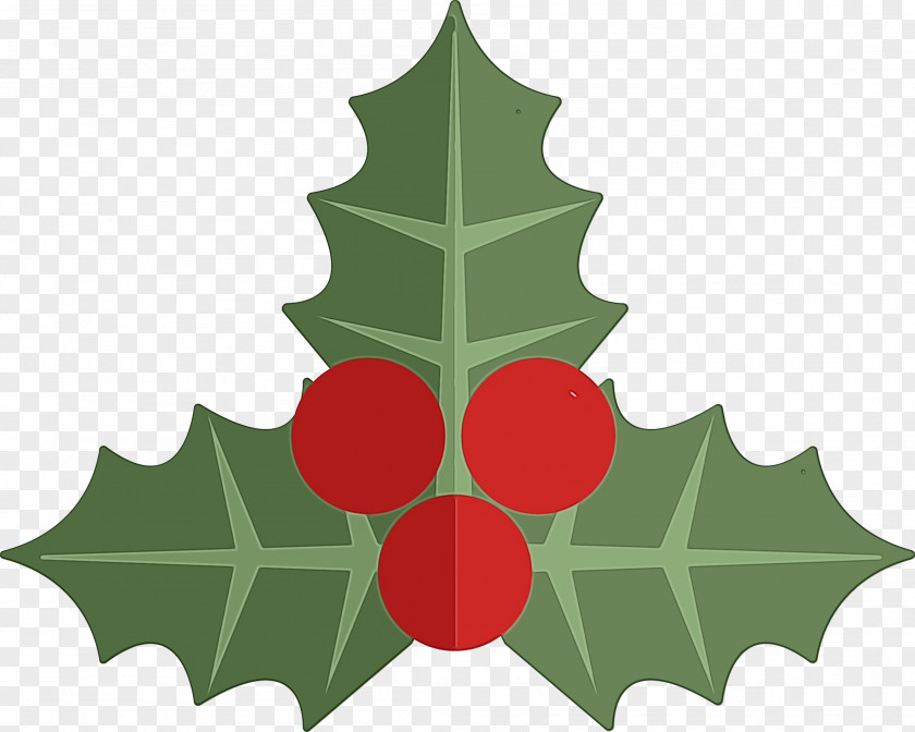 Grape Leaves Evergreen Holly PNG