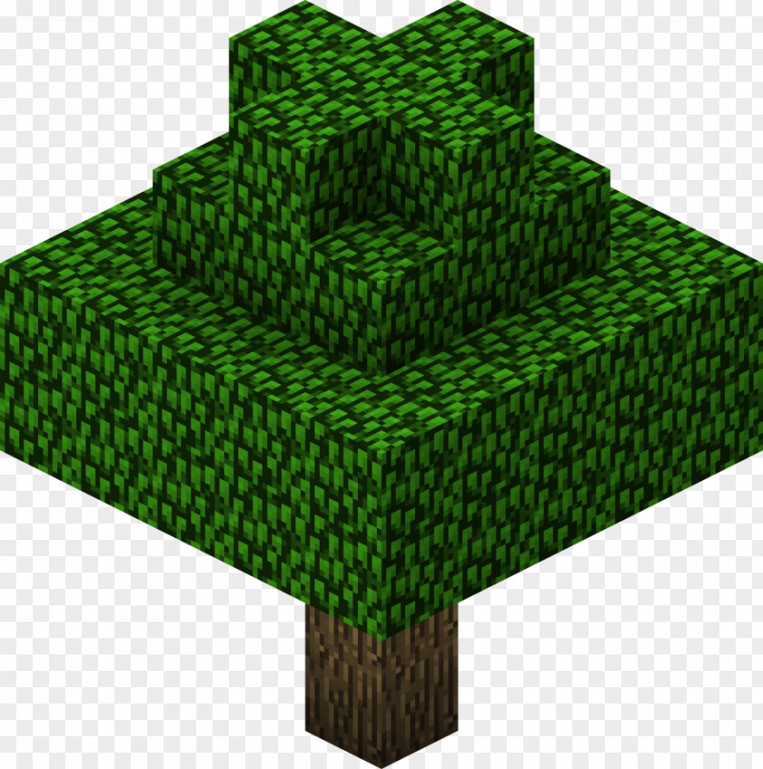Minecraft Topiary Bushes Video Games Image Wiki Spruce PNG