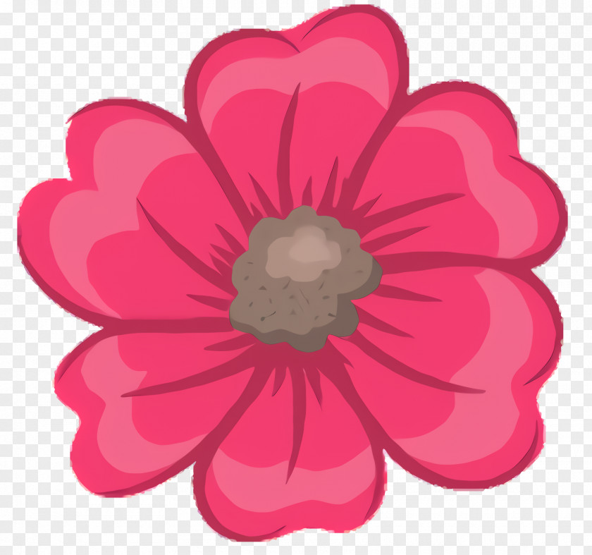 Perennial Plant Anemone Pink Flower Cartoon PNG