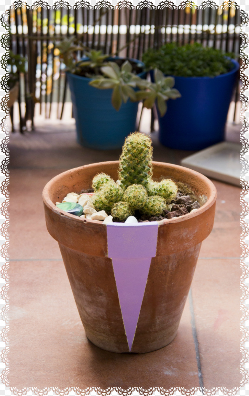 Potted Flowerpot Citroën Cactus M Houseplant Herb PNG