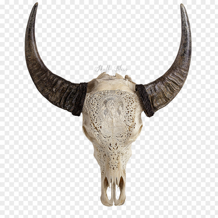 Skull Human Symbolism Horn American Bison Cattle PNG