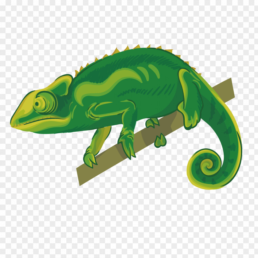 Vector Chameleon Chameleons Reptile Lizard PNG