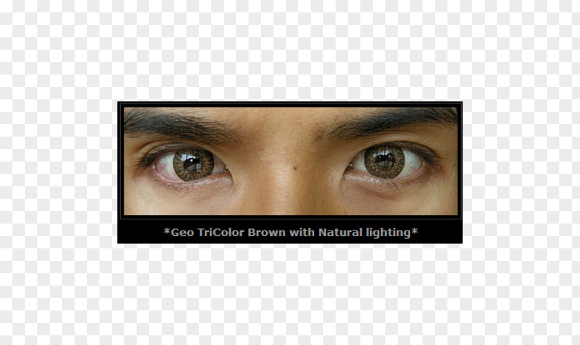 Brown Circle Eyelash Extensions Eye Shadow Liner Contact Lenses PNG