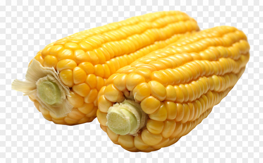 Corn Maize Image File Formats PNG