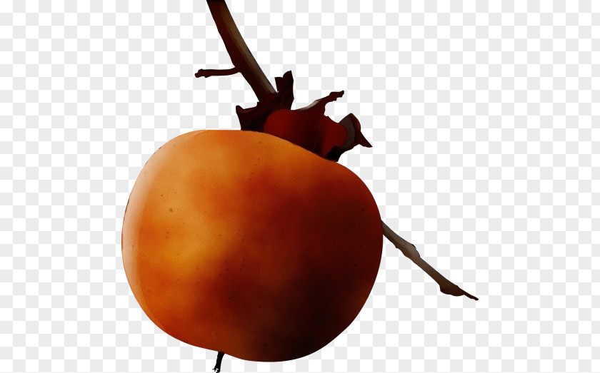Food Ebony Trees And Persimmons Plant Fruit Vegetable PNG