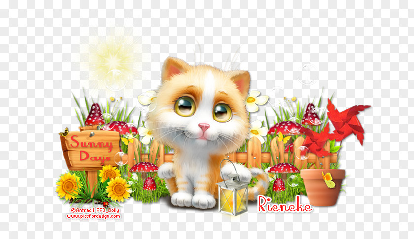 Hello Sunshine Whiskers Kitten Christmas Ornament PNG