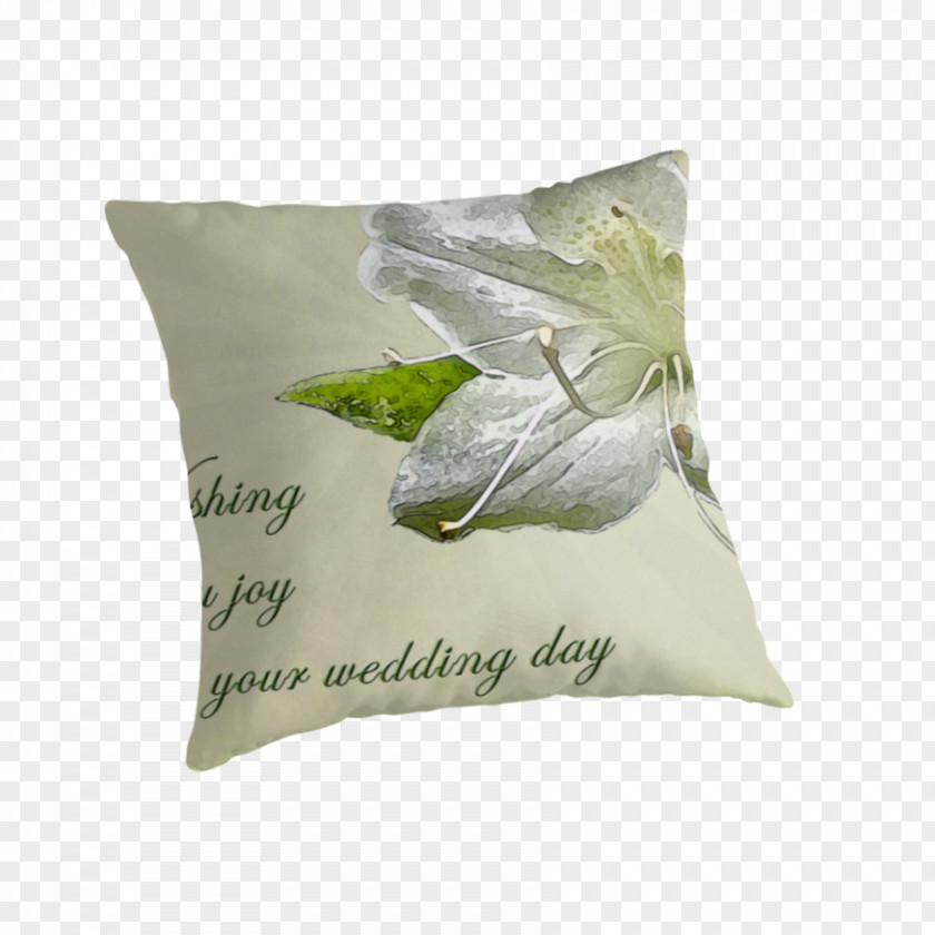 Marriage Blessing Cards Throw Pillows Cushion Material Wedding PNG