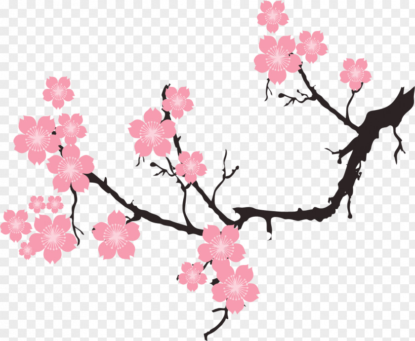 Pink Plum Blossom Cherry Illustration PNG