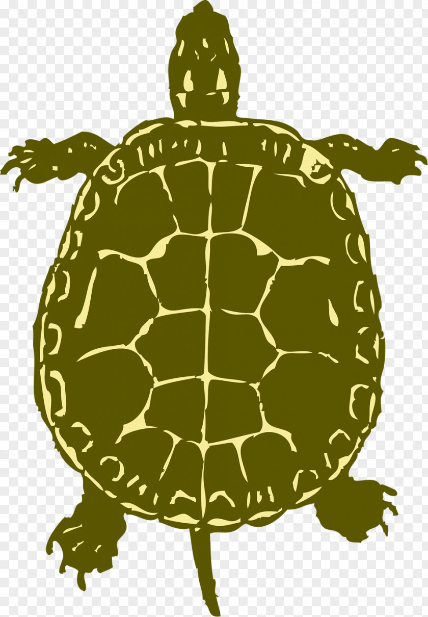 Turtle Sea Silhouette Clip Art PNG