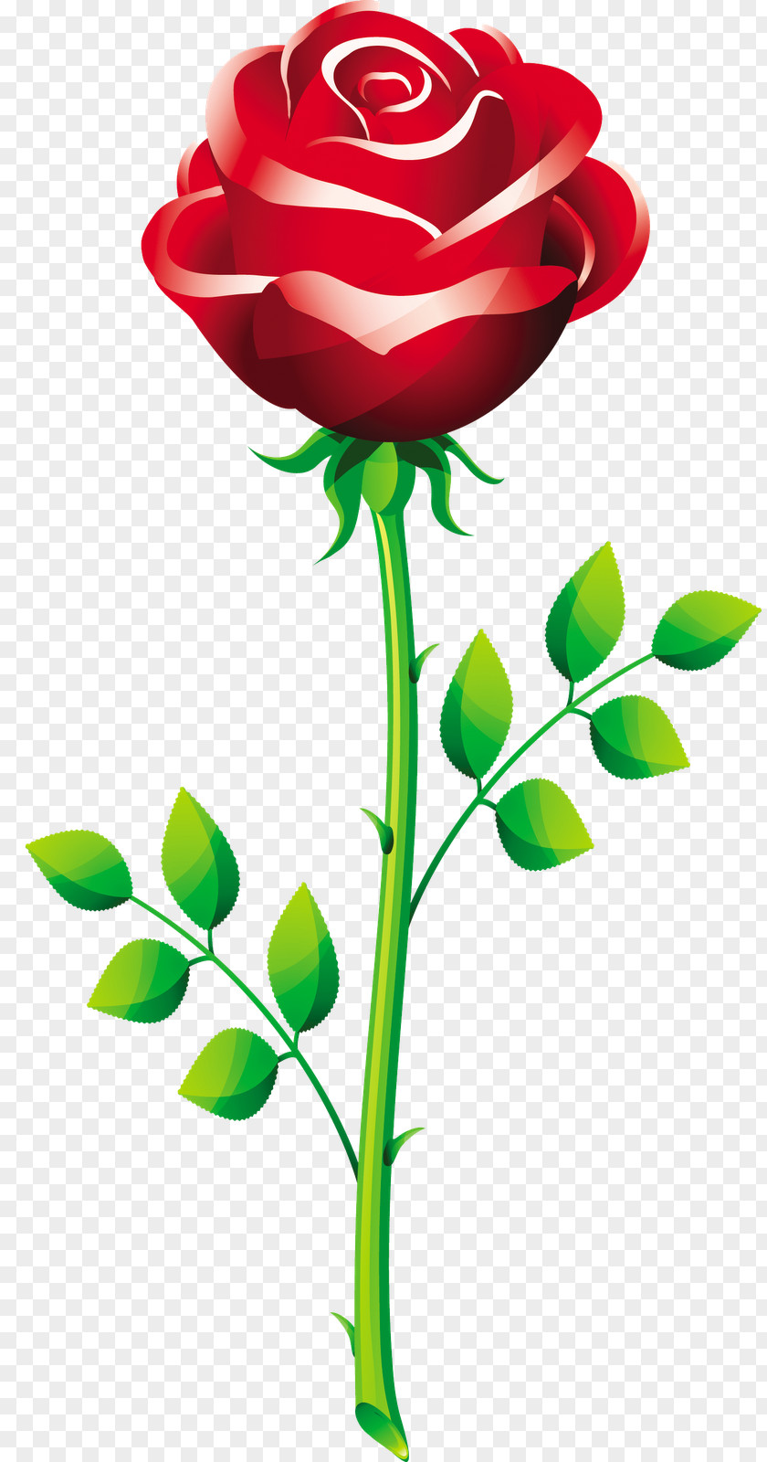 Vector Roses Rose Royalty-free Stock Photography Clip Art PNG