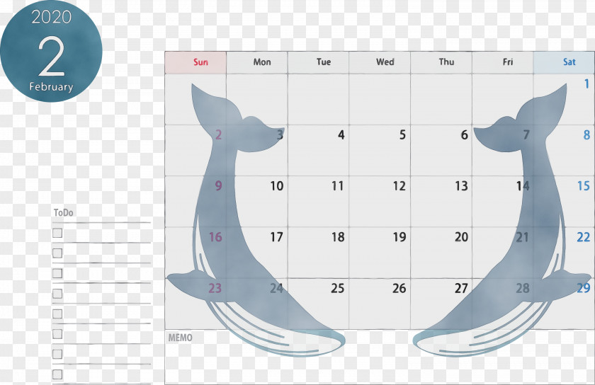 Blue Whale Cetacea PNG