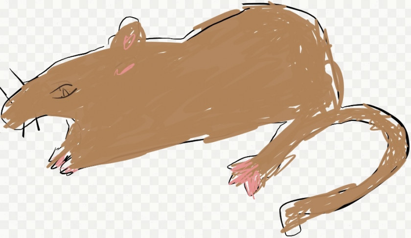 Cartoon Rat Pictures Brown Mouse Black Gerbil Clip Art PNG