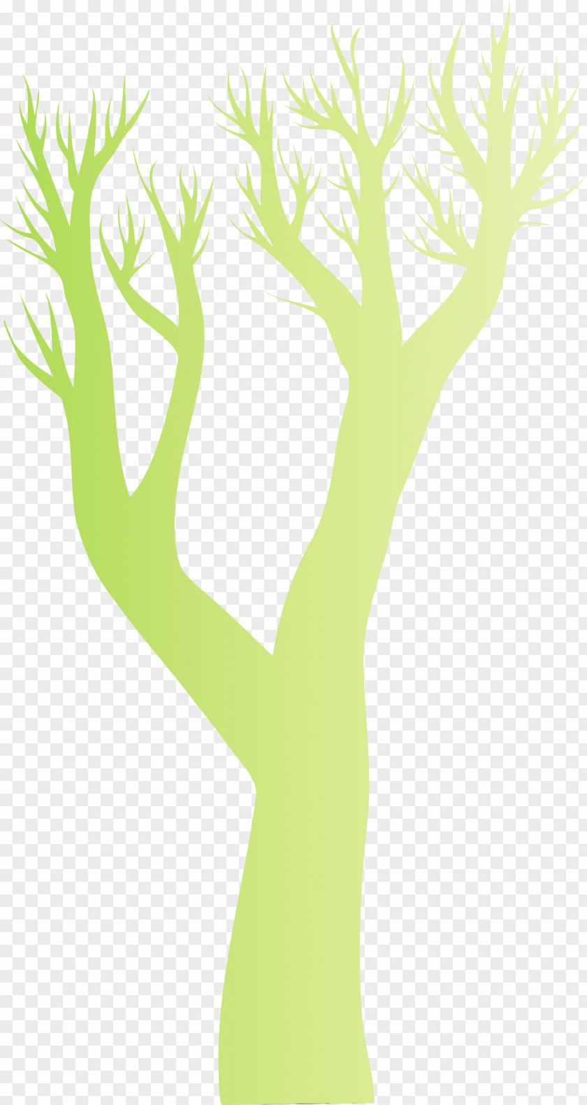 Green Tree Yellow Branch Leaf PNG