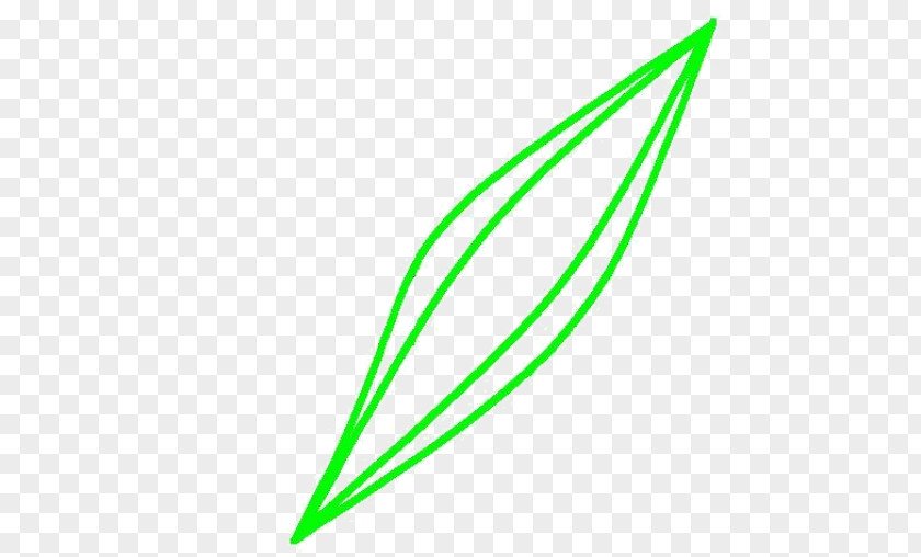 Leaf Line Angle Plant Stem PNG