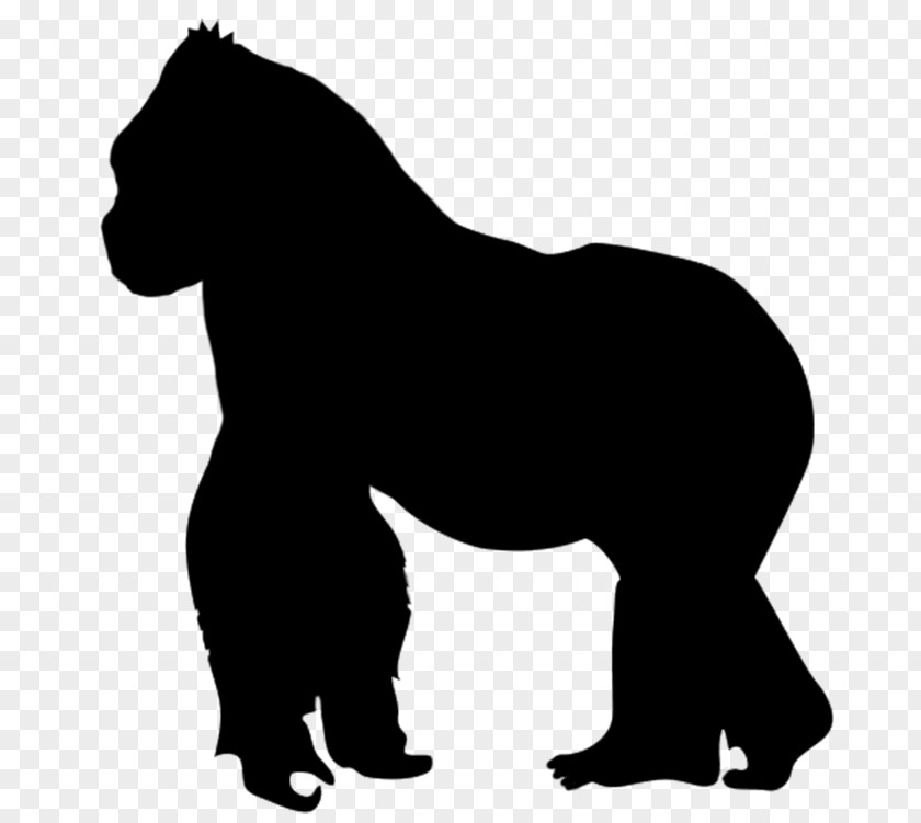 Polar Bear Clip Art Silhouette Vector Graphics PNG