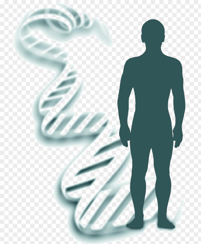 Science Genetics Heredity Forensic Identification DNA PNG