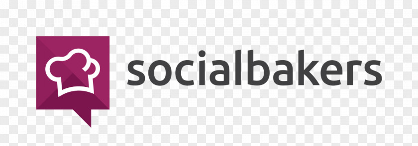 Social Media Analytics Advertising Socialbakers Marketing PNG