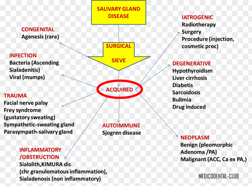 Voice Disorders And Their Management Salivary Gland Pathology Diseases: Diagnosis PNG