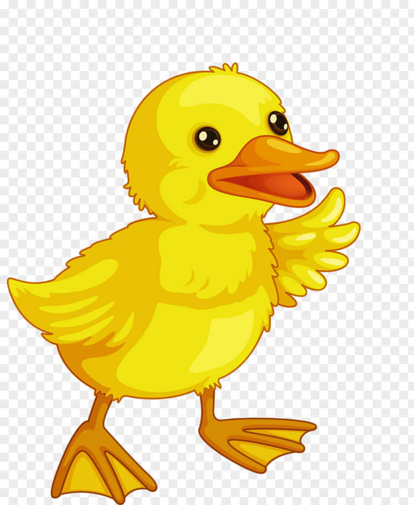 Bath Baby Ducks Duckling Drawing Clip Art PNG