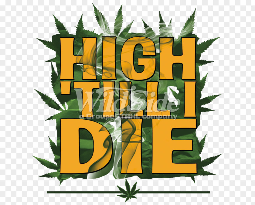 Cannabis Hemp Substance Intoxication Clip Art PNG