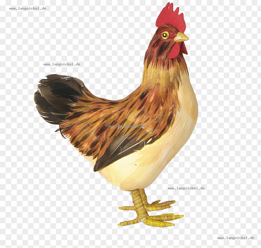 Chicken Rooster Hare Ornament Egg PNG
