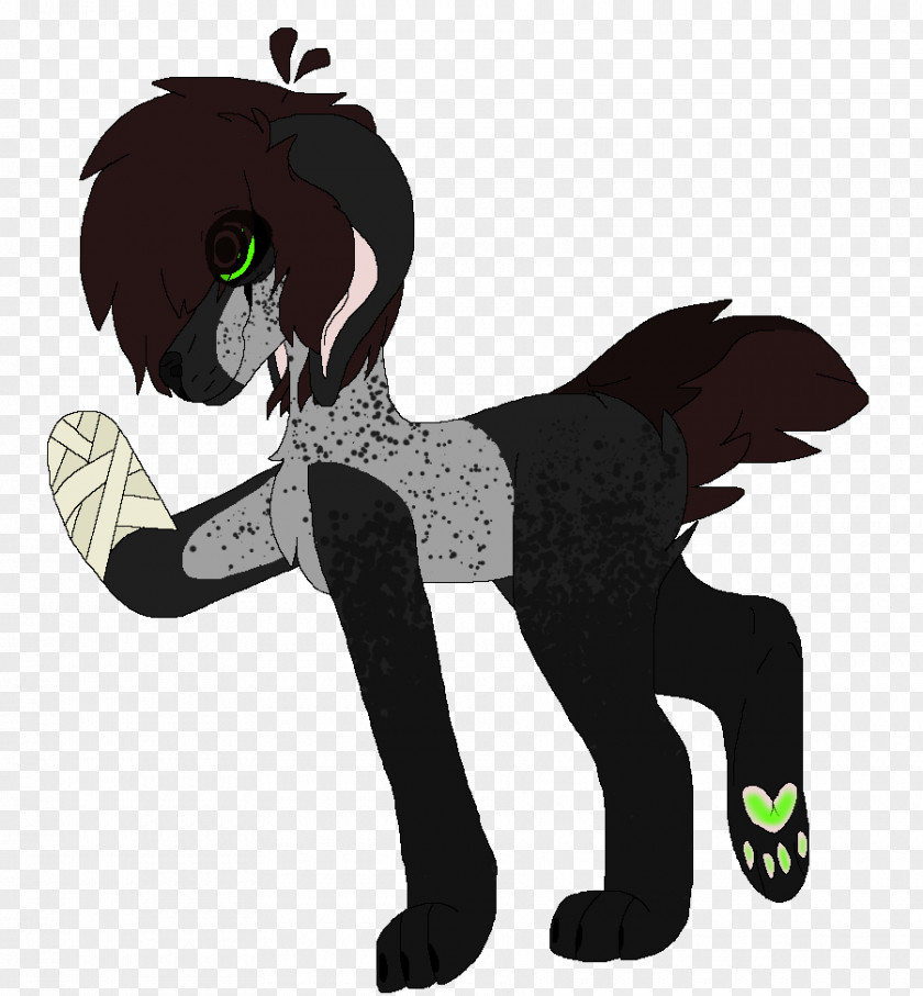 Dog Pony Horse Cat PNG