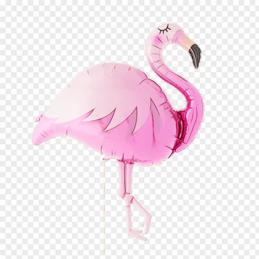 Feather Water Bird Pink Flamingo PNG
