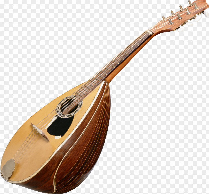 Harp Musical Instruments Mandolin String Lute PNG
