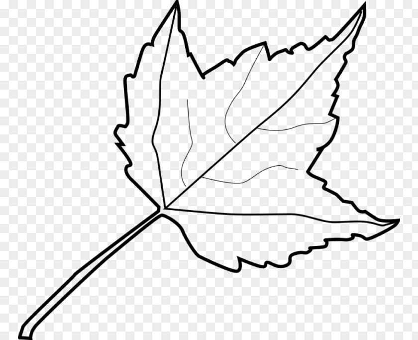 Leaf Autumn Color Outline Clip Art PNG