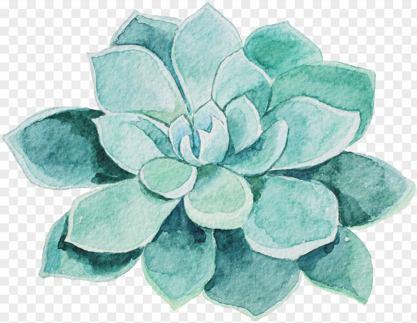 Succulents Watercolor Painting Flower PNG