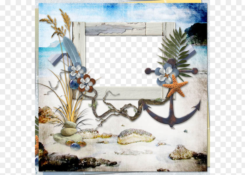 Anchor Beach Starfish Border Picture Frame Film Graphic Design PNG