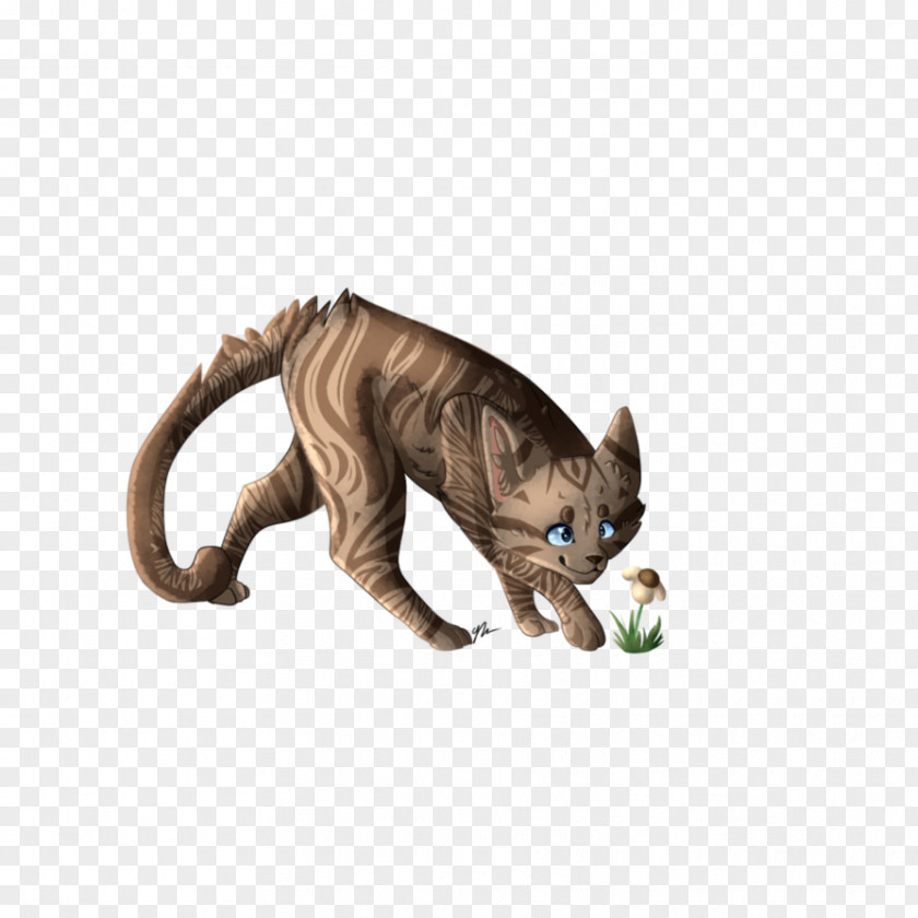 Cat Whiskers Rising Storm Warriors Littlecloud PNG