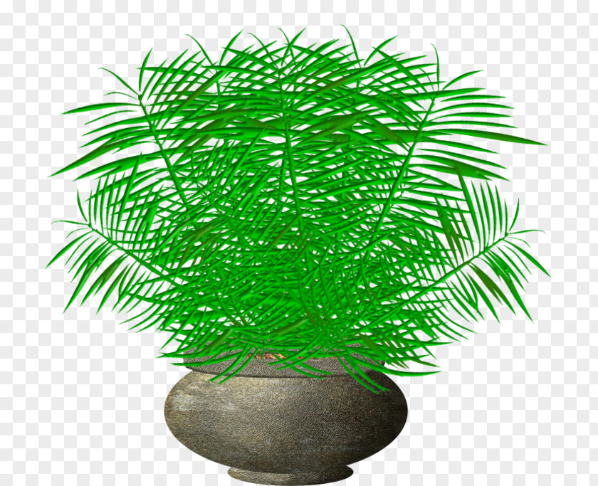 Flower Flowerpot Blume PNG