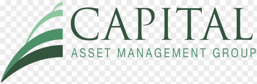 Business Capital: Critique Of Political Economy Management Company Investment PNG