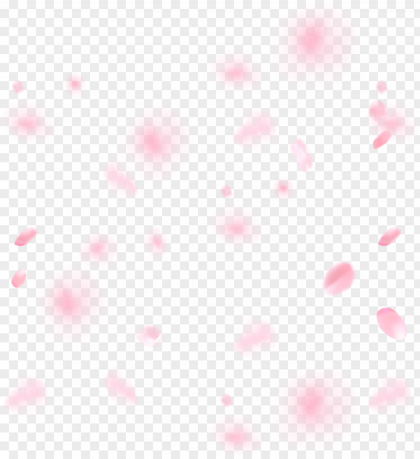 Cherry Blossom Light Magenta Pink Desktop Wallpaper Red PNG