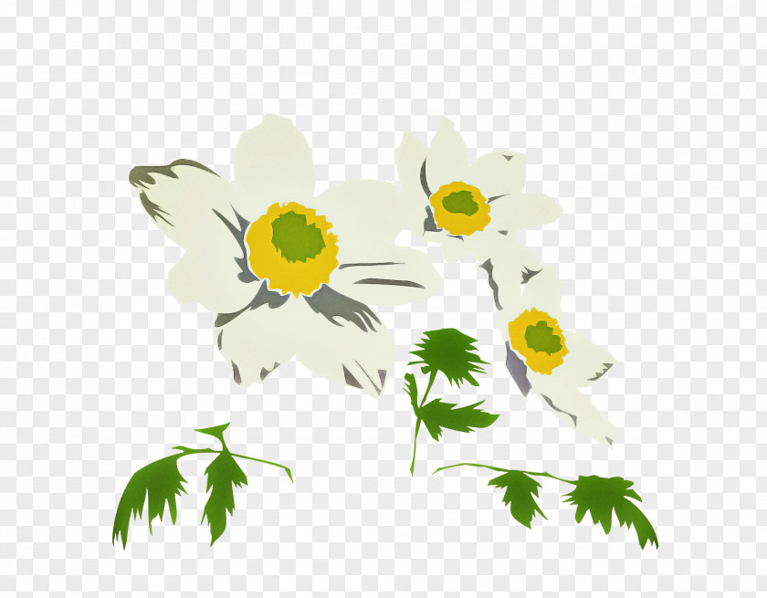 Floral Design PNG