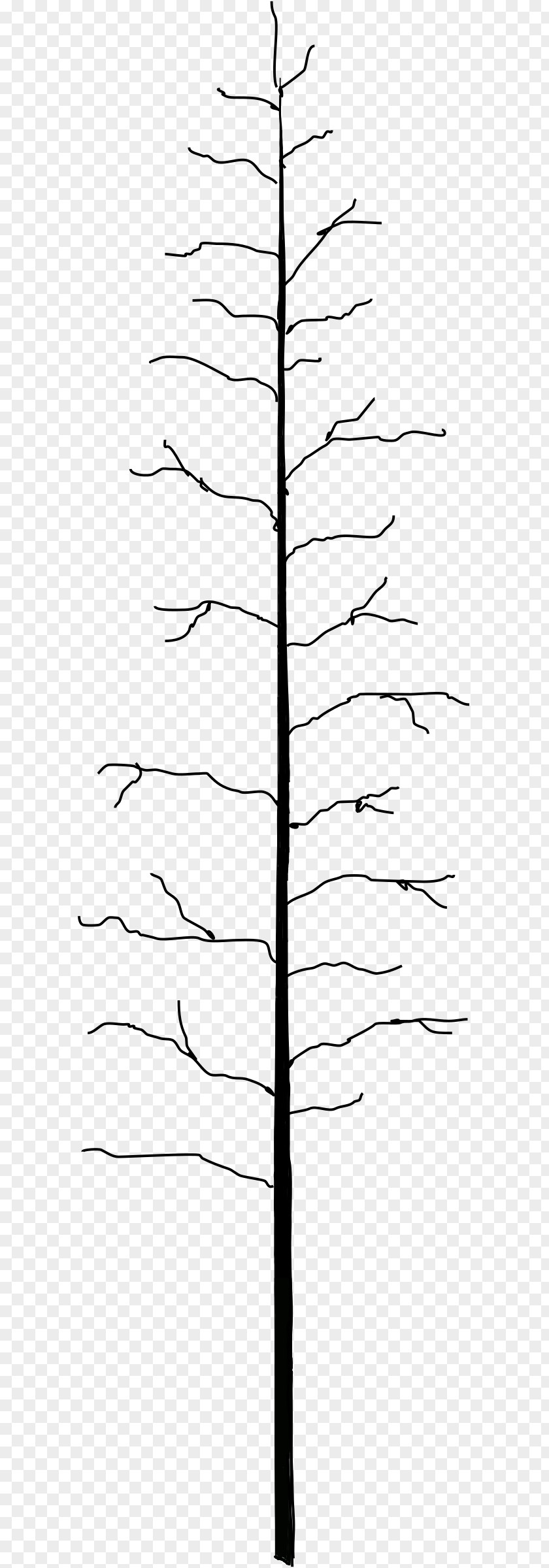 Tree Stump Arecaceae Leaf Clip Art PNG