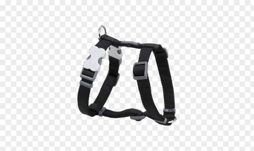 Dog Dingo Harness Collar Leash PNG