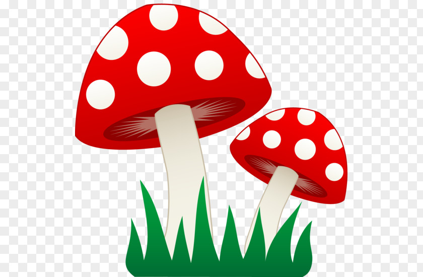 Fungi Mushroom Morchella Clip Art PNG