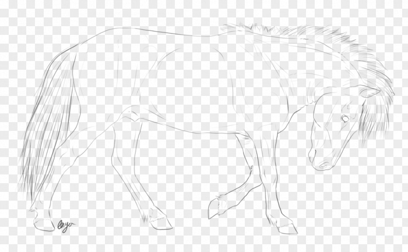 Mustang Mane Pack Animal Drawing Sketch PNG