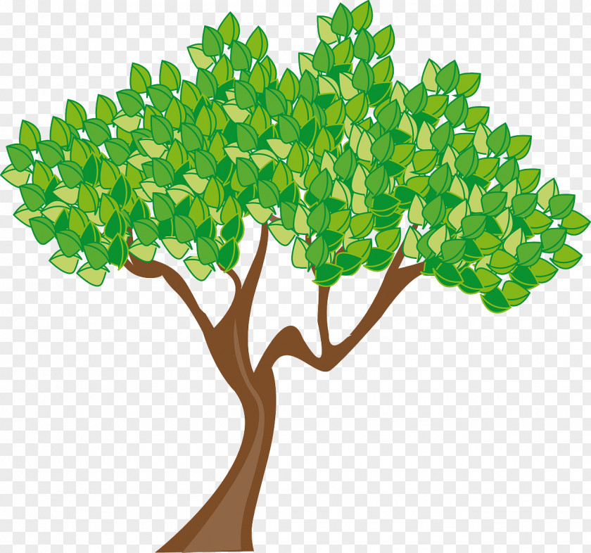 Permaculture Clip Art Image Tree Graphics Cartoon PNG