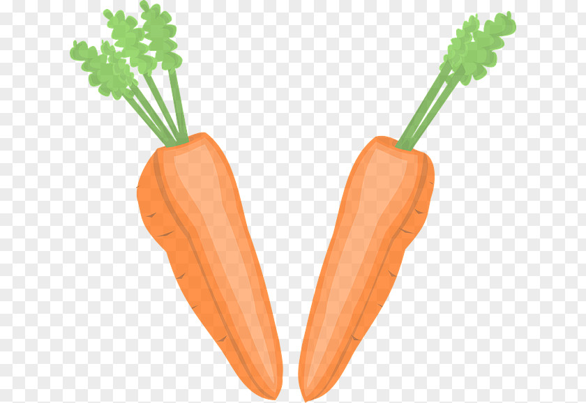 Plant Food Carrot Root Vegetable Baby Wild PNG