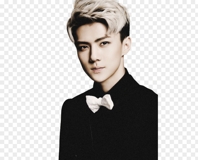 Sehun EXO-K Together K-pop PNG