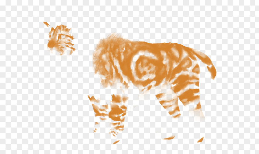 Tiger Lion Giraffe Felidae Whiskers PNG