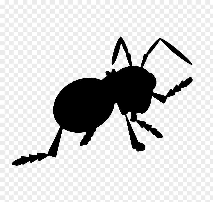 Ant Beetle Clip Art Character Silhouette PNG