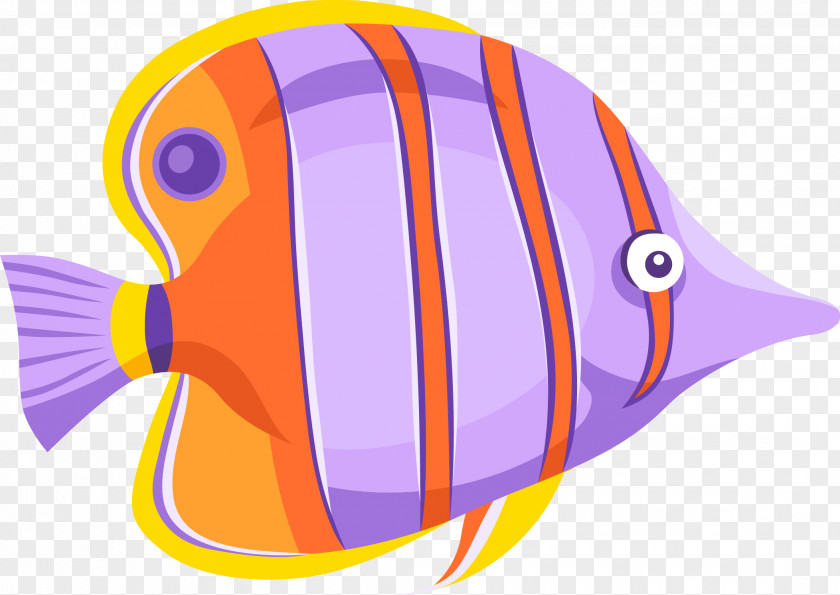 Color Vector Fish Material Euclidean Clip Art PNG